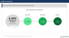 Load image into Gallery viewer, US Corporate Fleet Insights: First Edition (2021)